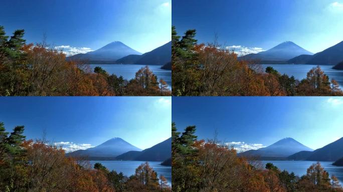 日本山梨县本津湖和富士山的秋季景观