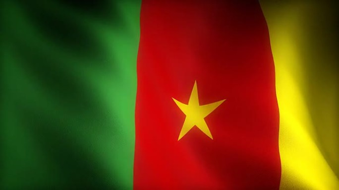 喀麦隆国旗