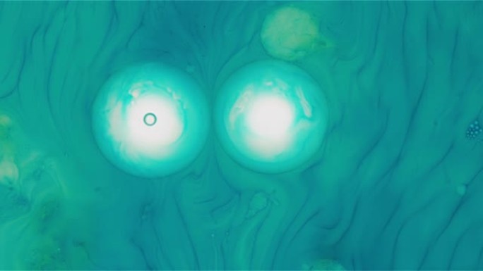 两个浅蓝色的细胞液滴漂浮在空间合并背景中