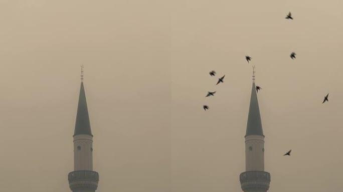 多雾和多云的天气。清真寺尖塔。鸟类。