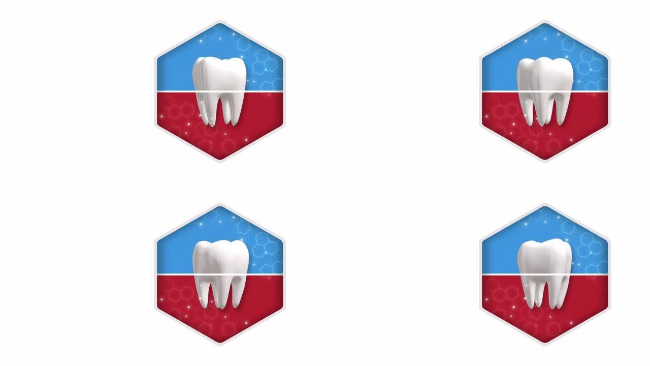 口腔护理和牙齿健康医疗服务