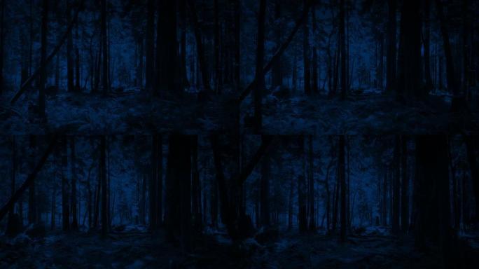 月光森林慢速航拍夜晚深夜惊悚恐怖夜色夜景