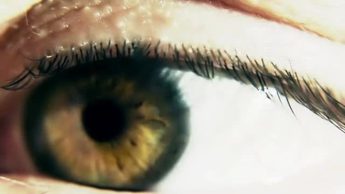 人眼球与瞳孔扩张的程式化效果