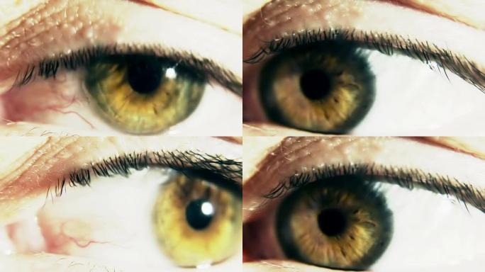 人眼球与瞳孔扩张的程式化效果