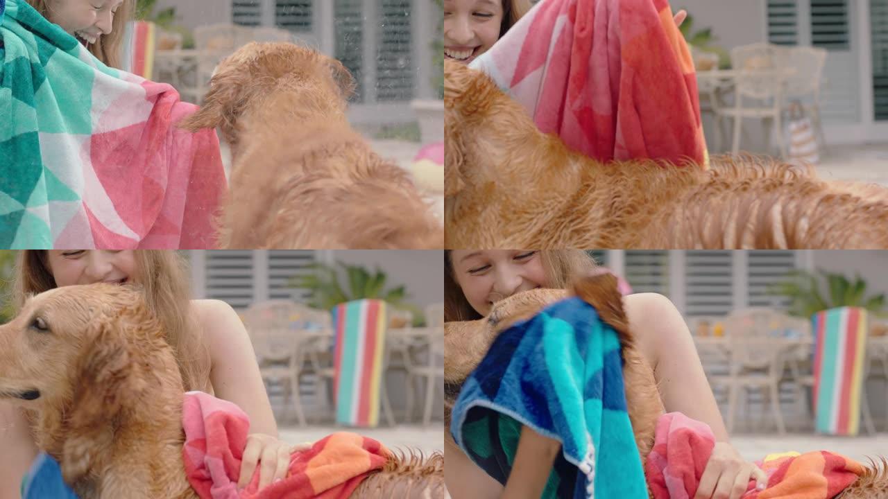 十几岁的女孩在游泳池游泳后用拖带干湿金毛狗享受暑假，和动物伴侣一起玩得开心下午4k