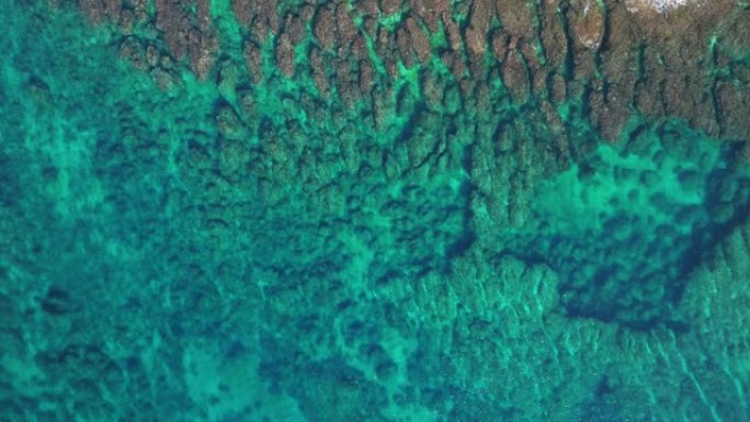 珊瑚礁和海岸线的鸟瞰图