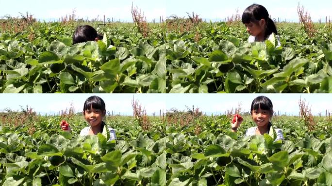 带着新鲜采摘草莓的骄傲亚洲女孩