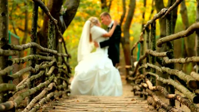 木桥上的新娘和新郎