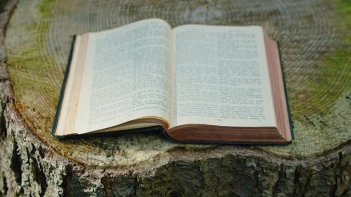 圣经在宽阔的旧树桩自然背景上印刷了开放的神圣古书。森林自然。纸质页。