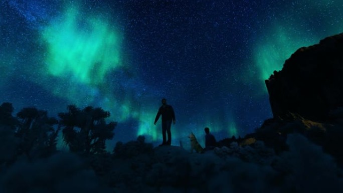 情侣和狗欣赏北极光对抗星空