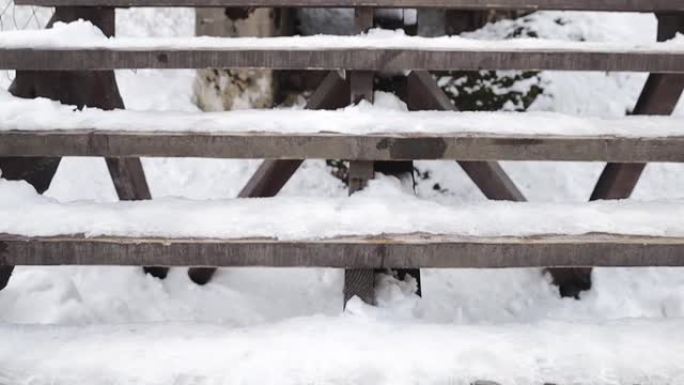 冬天被雪覆盖的木制楼梯