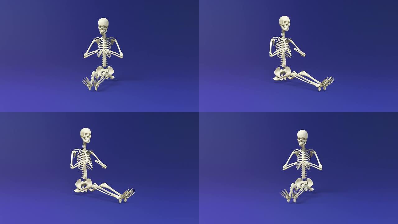 人体骨骼的瑜伽冥想姿势