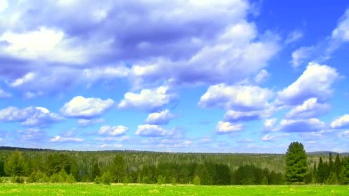 延时自然场景绿色田野，针叶林和飞云
