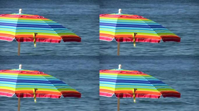彩色沙滩伞