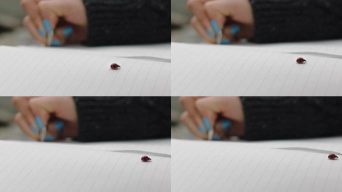 特写宏瓢虫甲虫爬行在页上玩瓢虫