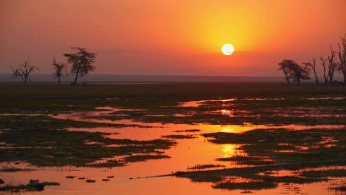 肯尼亚安博塞利国家公园沼泽地景观上美丽的日落