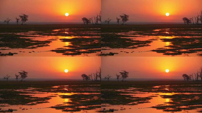 肯尼亚安博塞利国家公园沼泽地景观上美丽的日落