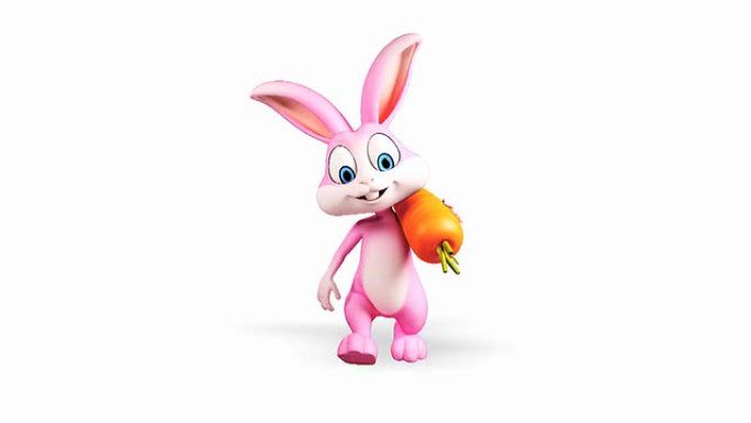 兔子和胡萝卜一起散步