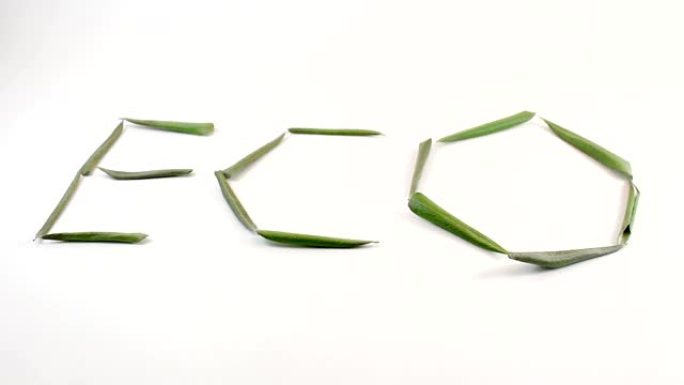 带有橄榄叶的字母 “Eco”