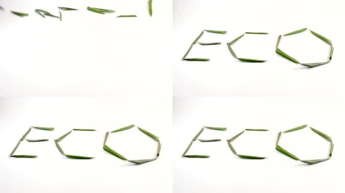 带有橄榄叶的字母 “Eco”