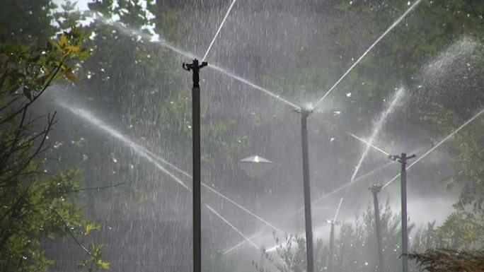 洒水器淋浴树木