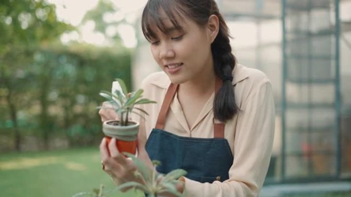 迷人的年轻女性在盆栽上喷水。可持续的生活方式。环境。小企业。
