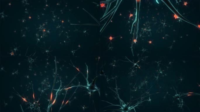 神经元在3D动画中放电