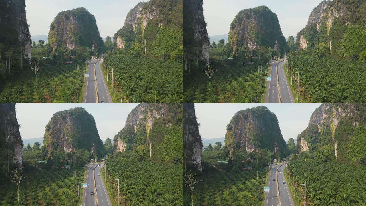 泰国棕榈油树种植园的道路鸟瞰图