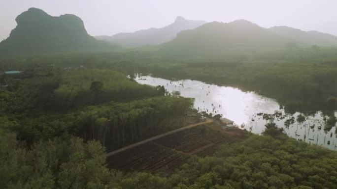 日落时河流周围丛林的鸟瞰图