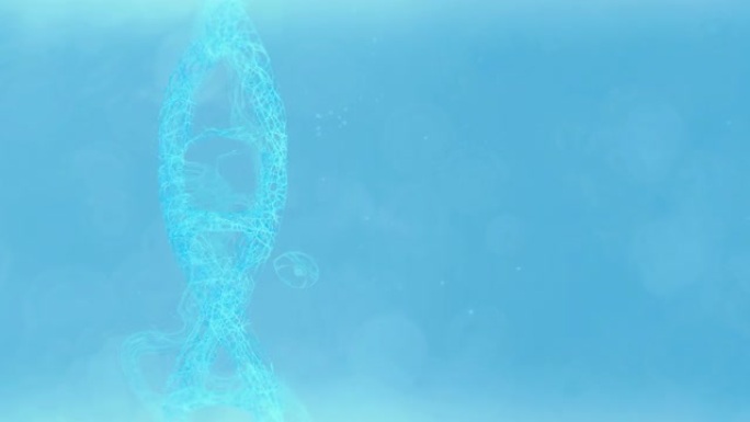 DNA分子结构DNA分子双螺旋结构生物动