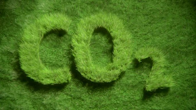 CO2 Gras生长
