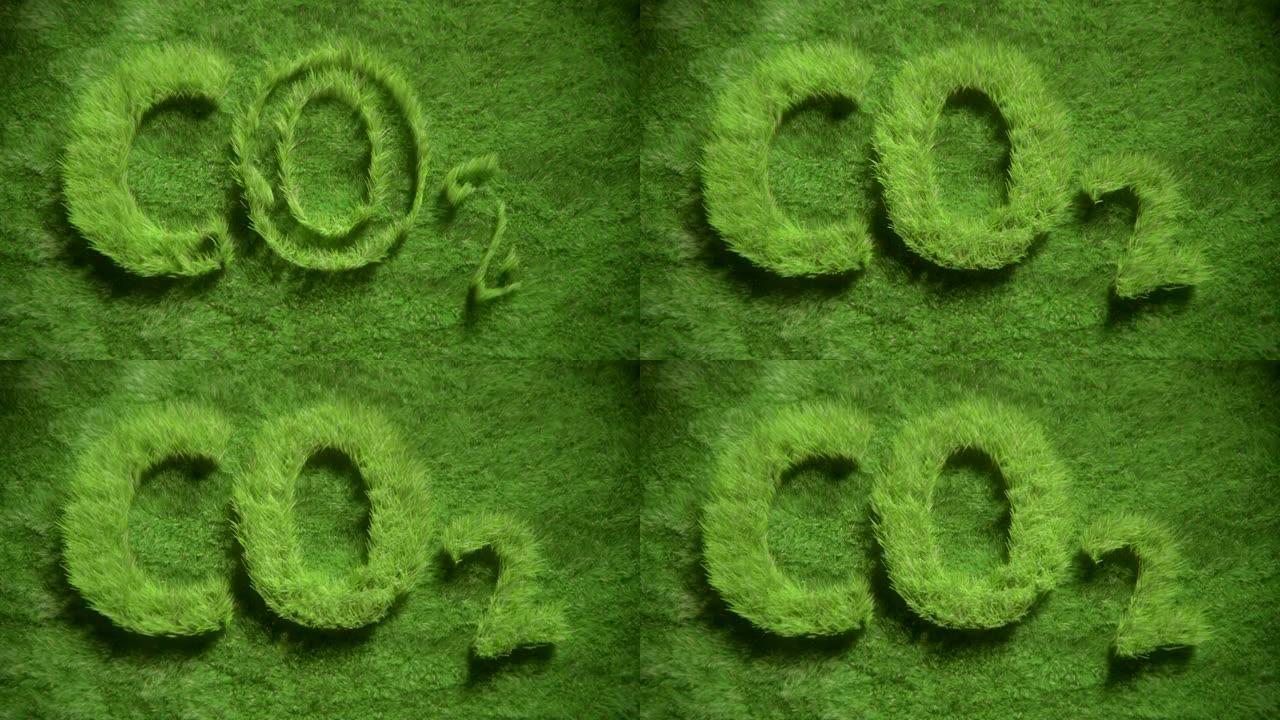 CO2 Gras生长