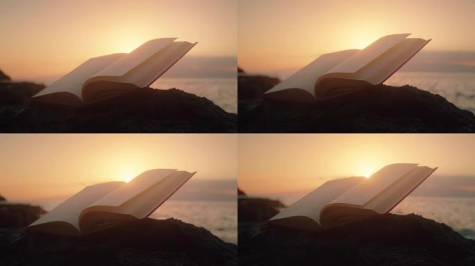 在日落之光的海滩上打开书。
