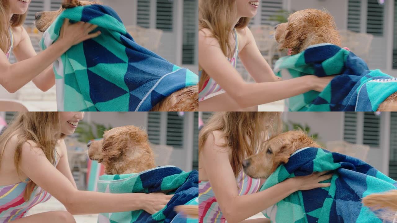 十几岁的女孩在游泳池游泳后用拖带干湿金毛狗享受暑假，和动物伴侣一起玩得开心下午4k