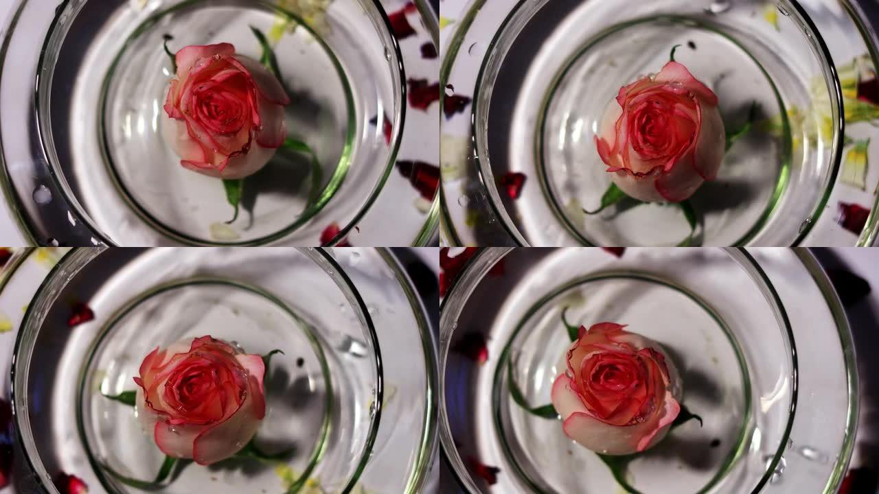 白色和粉红色的玫瑰花在盛满水的碗中，桌面旋转视图
