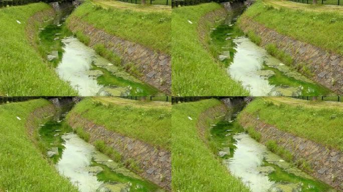 绿色污染的小溪