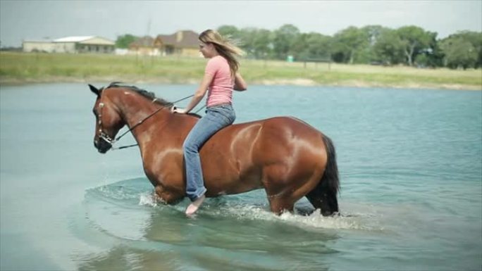 池塘里的女孩和她的马