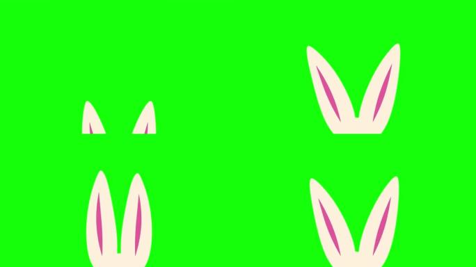 绿色背景上的动画兔子耳朵。节日复活节动画。4k分辨率搞笑兔子复活节横幅动画，带复制空间