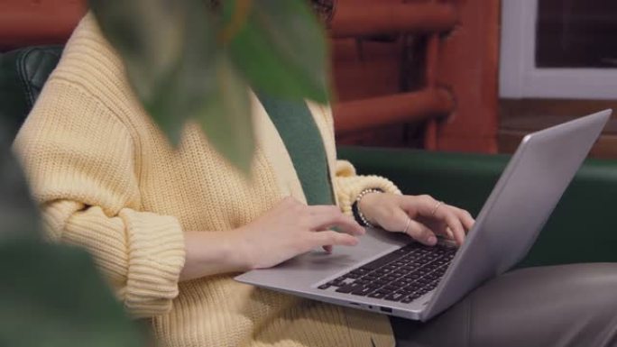 匿名女自由职业者在同事的笔记本电脑上打字