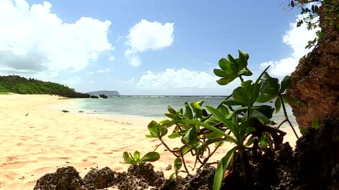 日本冲绳岛西表岛的海滩