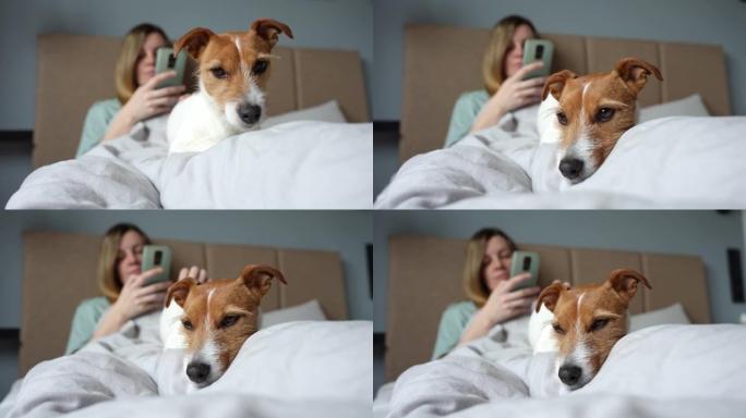 狗在床上发冷的女人，使用智能手机