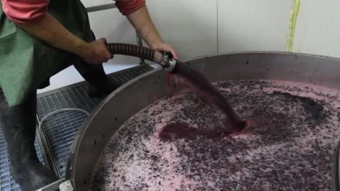 葡萄酒发酵