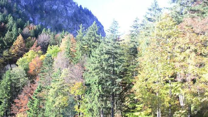 新天鹅堡美丽的秋景 (德国巴伐利亚)