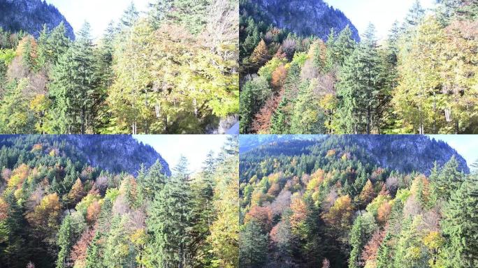 新天鹅堡美丽的秋景 (德国巴伐利亚)