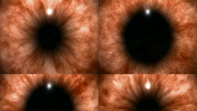 橙色眼睛背景-NTSC