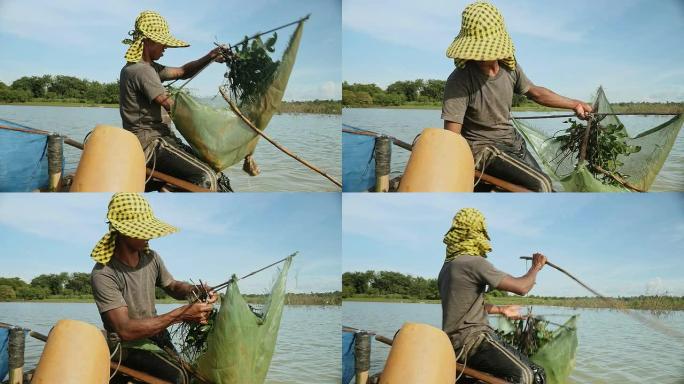 对虾渔夫捕捉虾，诱饵网并将其推入河中的特写镜头