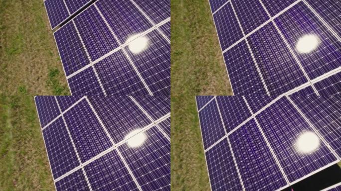 野外发电厂的紫罗兰蓝紫色太阳能电池板，阳光刺眼。绿色可再生能源和环境保护。替代电源技术。