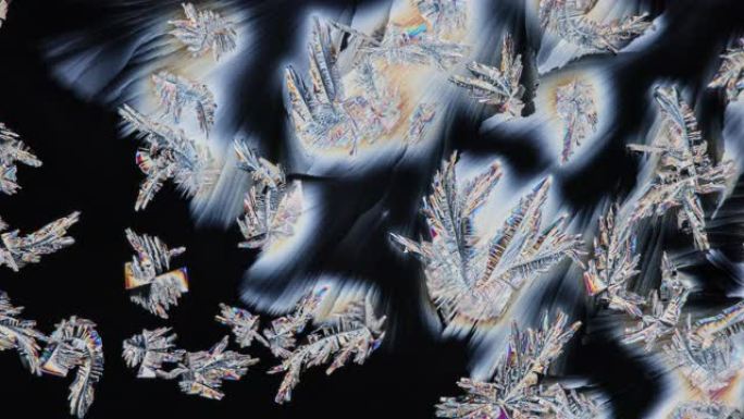 偏光显微镜下碳酸盐的结晶似乎正在融化雪花