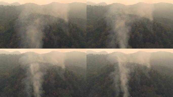 干旱林野火烟雾的鸟瞰图