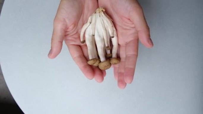 女人拿着药用棕色香菇，紧握双手。